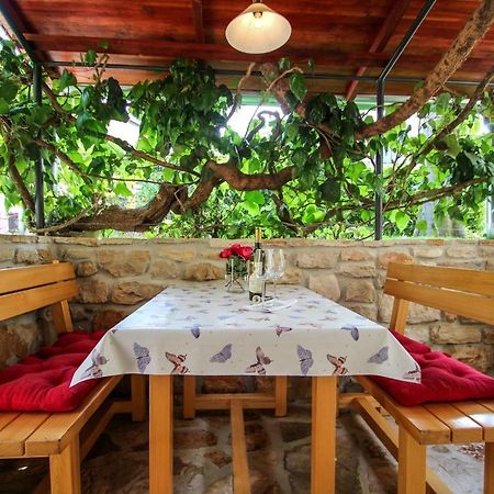 Carla Guest House Novigrad Istria Extérieur photo