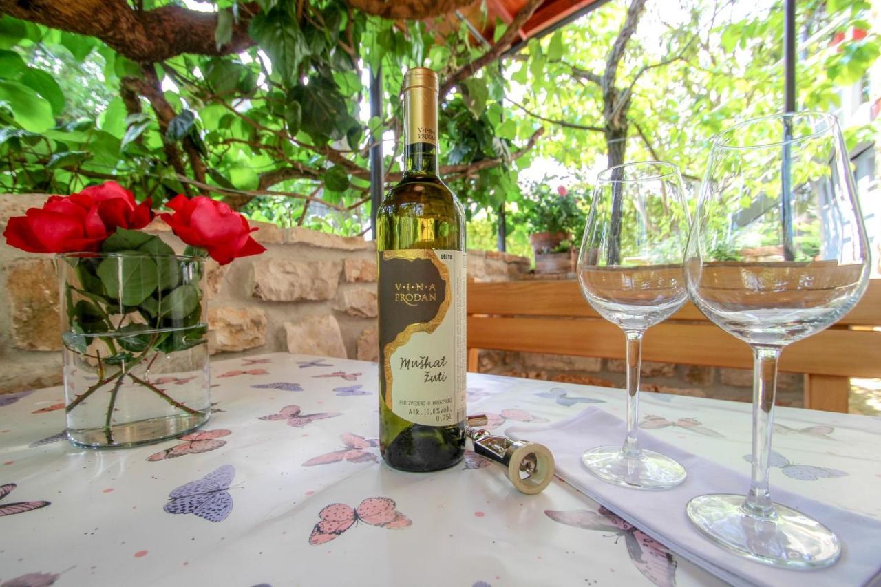 Carla Guest House Novigrad Istria Extérieur photo