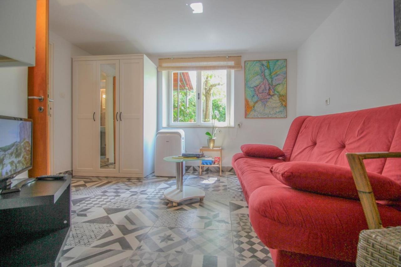 Carla Guest House Novigrad Istria Extérieur photo