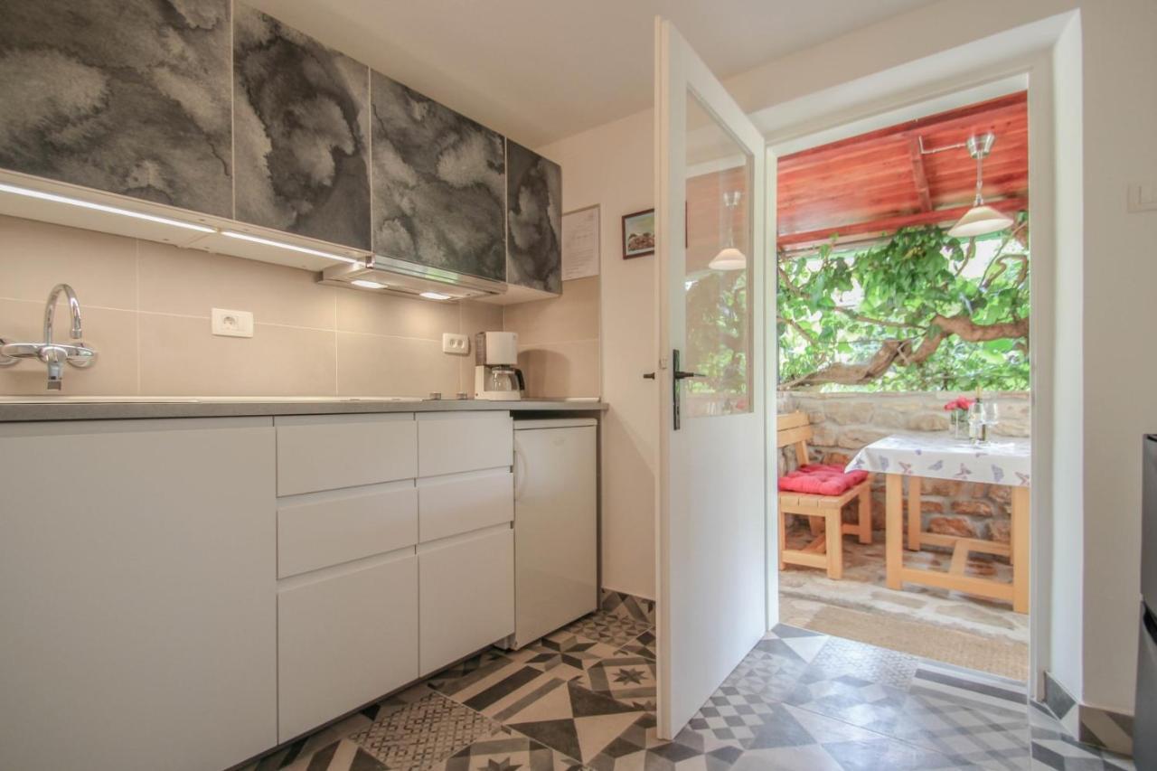 Carla Guest House Novigrad Istria Extérieur photo