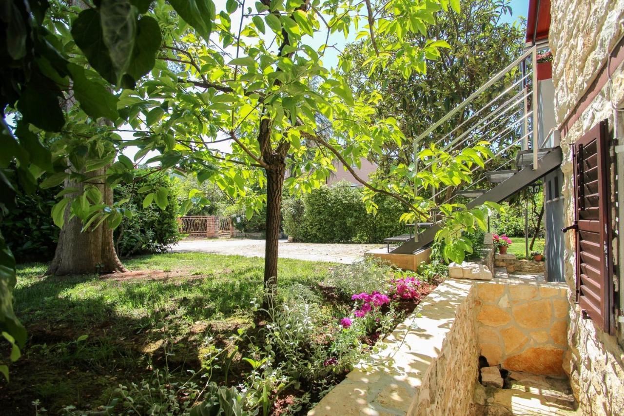 Carla Guest House Novigrad Istria Extérieur photo