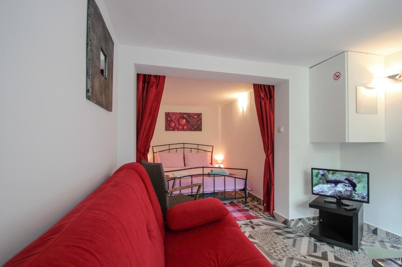 Carla Guest House Novigrad Istria Extérieur photo