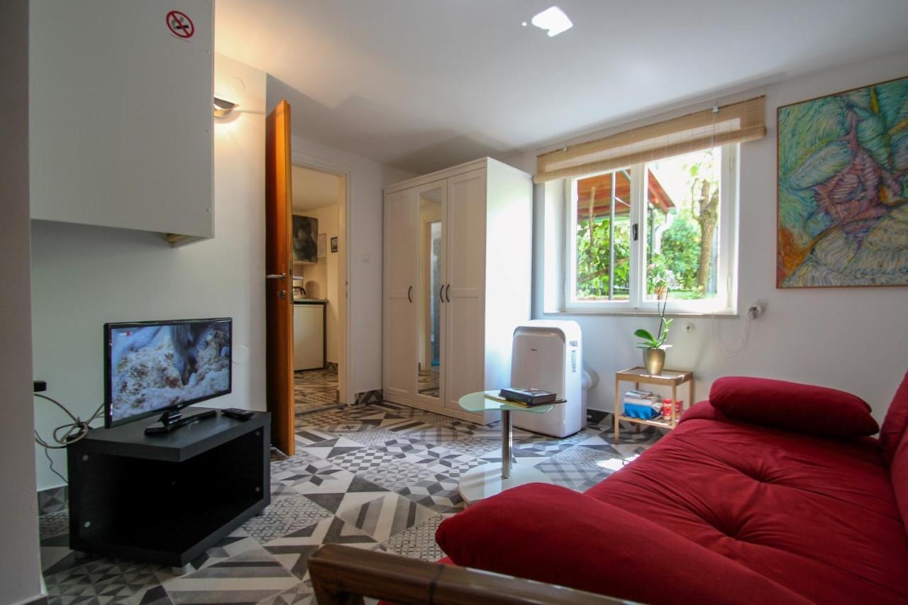 Carla Guest House Novigrad Istria Extérieur photo